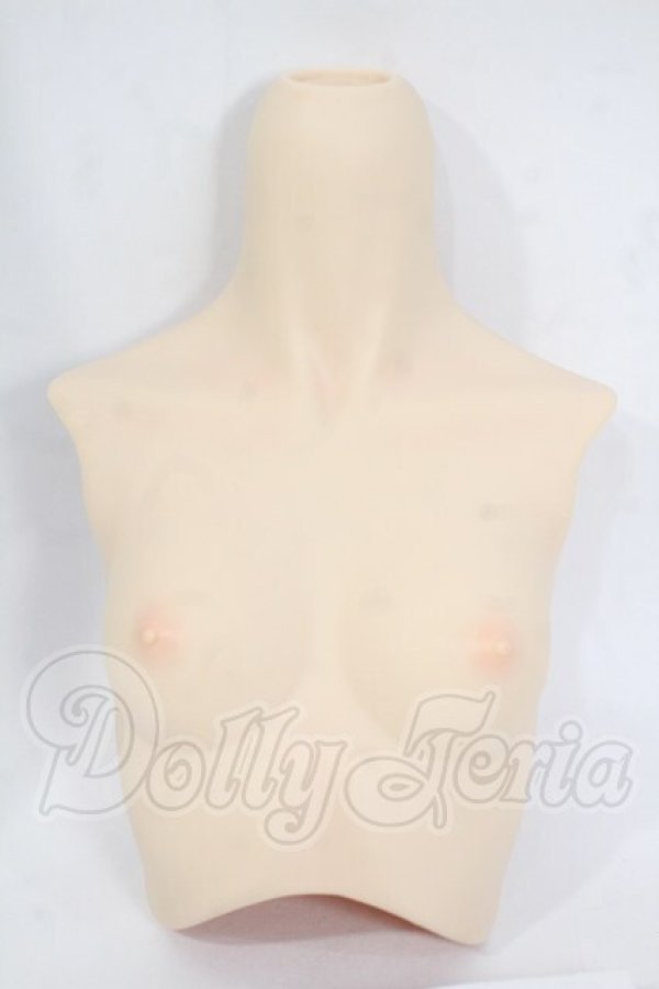 画像1: DD/上半身パーツ:カスタム Y-26-04-08-036-WT-ZY (1)