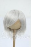 画像1: 9inch/ウィッグ Y-26-04-15-105-WT-ZY (1)