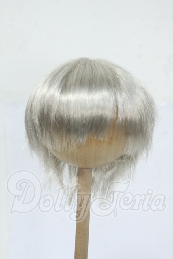 画像1: 9inch/ウィッグ Y-26-04-15-110-WT-ZY (1)