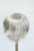画像2: 9inch/ウィッグ Y-26-04-15-110-WT-ZY (2)