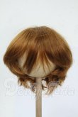 画像1: 9inch/ウィッグ Y-26-04-15-113-WT-ZY (1)