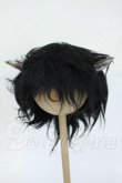 画像1: 9-10inch/ウィッグ Y-26-04-15-120-WT-ZY (1)