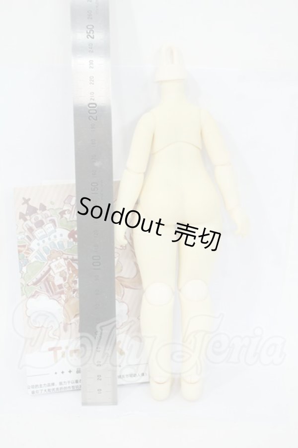 画像2: TinyFox/1/6ボディ Y-26-04-08-081-WT-ZY (2)