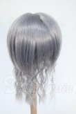 画像2: 7-8inch/ウィッグ Y-26-04-08-239-WT-ZY (2)