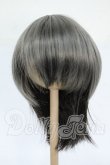 画像1: 8-9inch/ウィッグ Y-26-04-08-236-WT-ZY (1)