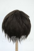 画像2: 9-10inch/ウィッグ Y-26-04-08-050-WT-ZY (2)