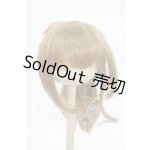 画像: 8-9inch/ウィッグ Y-26-04-08-237-WT-ZY