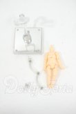 画像1: ねんどろいどどーる/ボディ Y-26-04-08-023-WT-ZY (1)