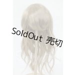 画像: 9-10inch/ウィッグ Y-26-04-08-208-WT-ZY