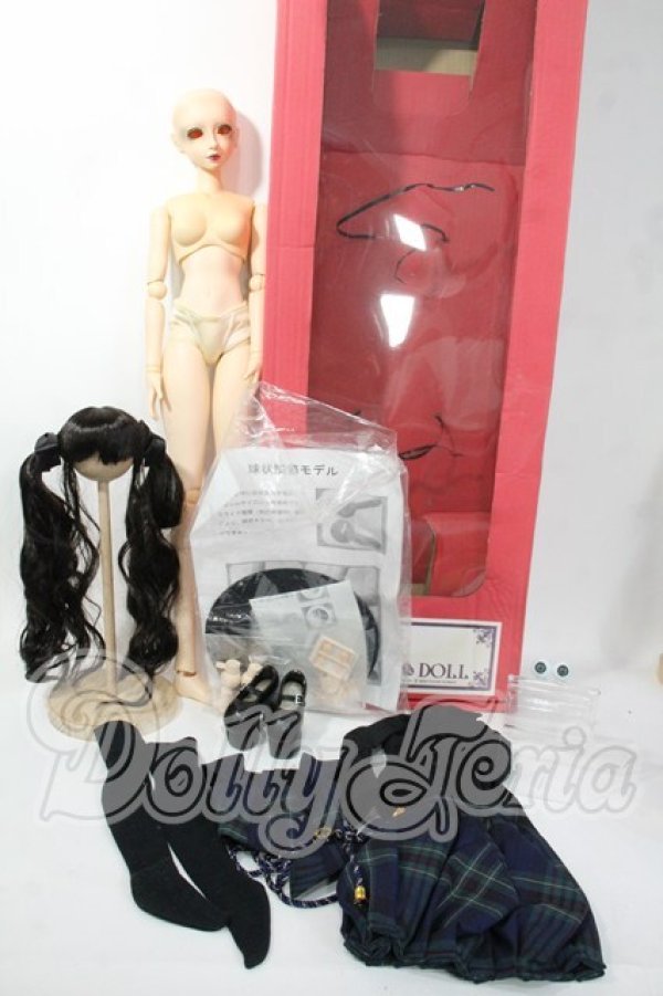 画像6: オビツ/60cmオビツボディ+HARUKAヘッド Y-26-04-08-233-WT-ZY (6)