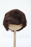 画像1: 8-9inch/ウィッグ Y-26-04-08-329-WT-ZY (1)