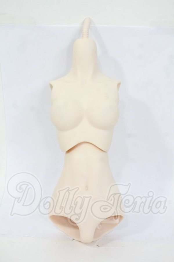 画像1: DDS/ベースボディIII Y-26-04-15-157-WT-ZY (1)