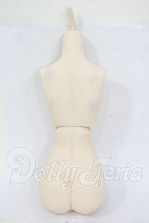 画像2: DDS/ベースボディIII Y-26-04-15-157-WT-ZY (2)