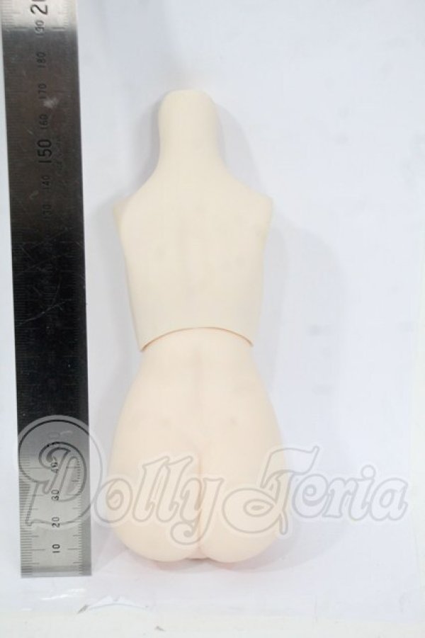 画像2: MDD/ベースボディIII Y-26-04-15-159-WT-ZY (2)