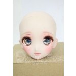 画像: DD/DDH-06カスタムヘッド Y-26-04-15-156-WT-ZY