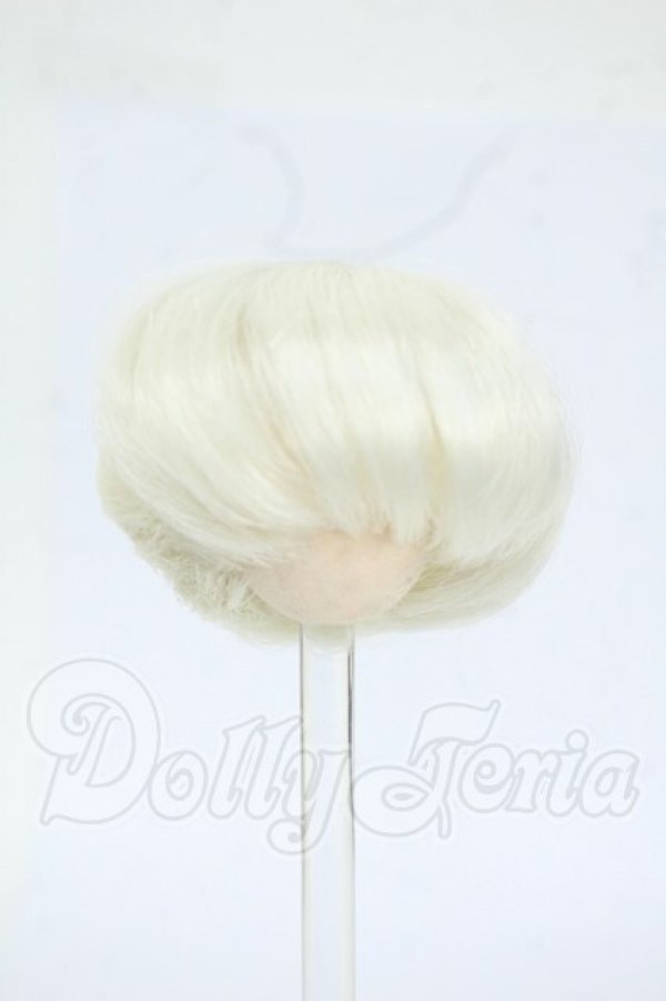 画像1: 4.5inch/ウィッグ Y-26-04-22-028-WT-ZY (1)