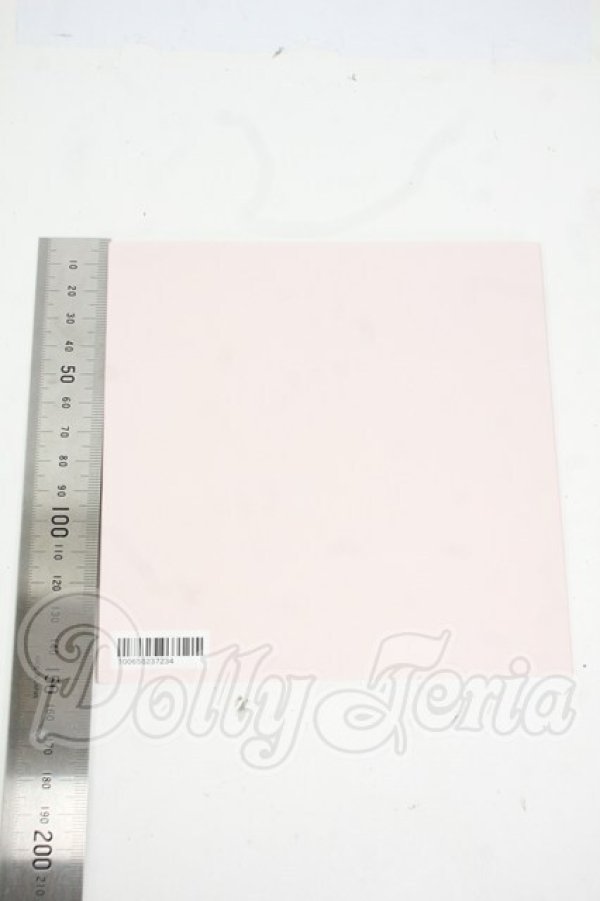 画像2: 書籍/ベスティ図鑑 Y-26-04-22-040-WT-ZY (2)