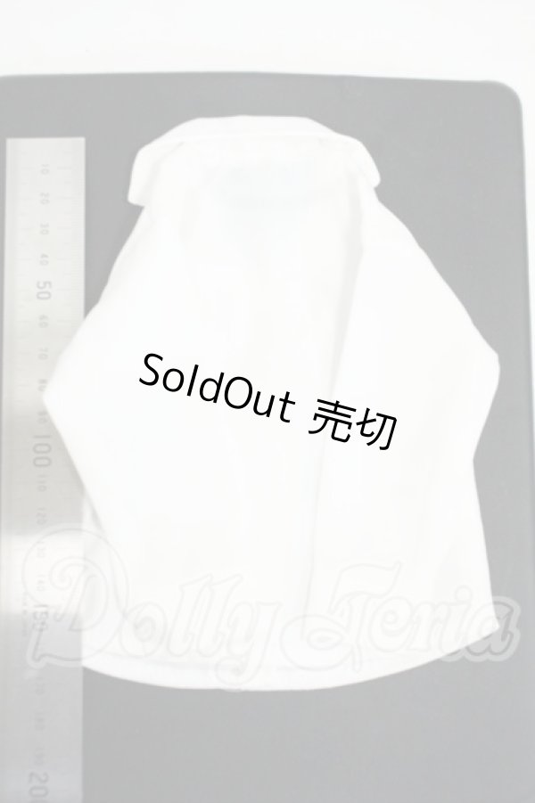 画像2: SDM&MSD/OF:トップス Y-26-04-22-037-WT-ZY (2)