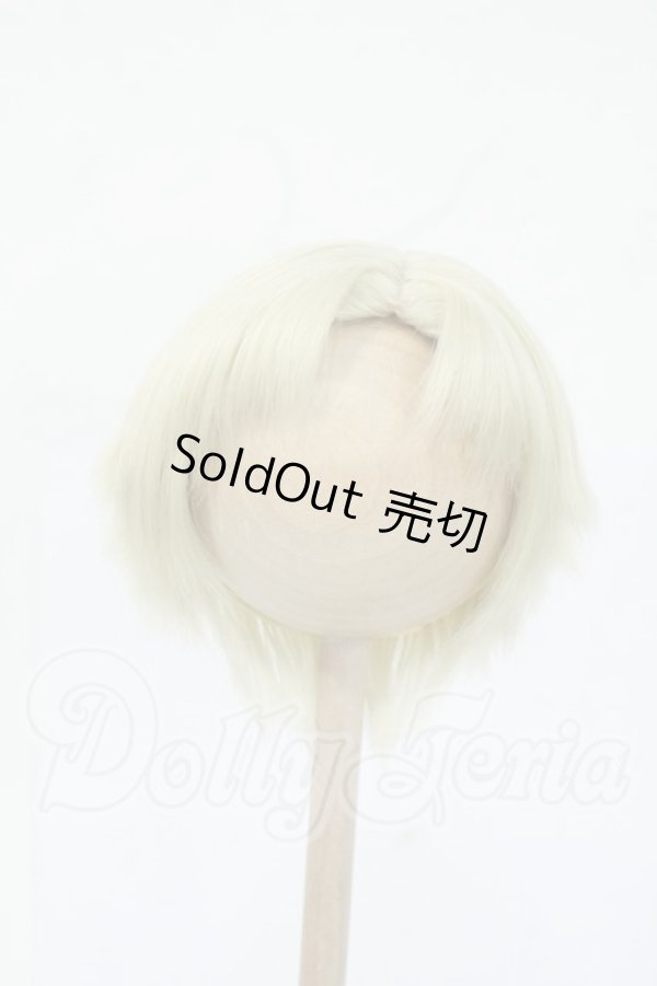 画像1: 8-9inch/ウィッグ Y-26-04-22-008-WT-ZY (1)