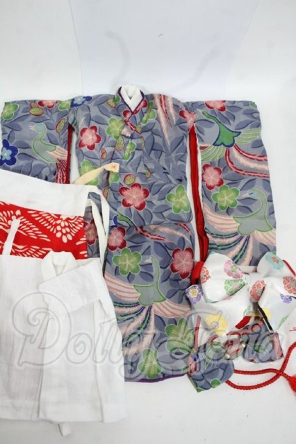 画像1: DearSD/OF:ほっぺこ堂様製 着物セット Y-26-04-29-100-WT-ZY (1)