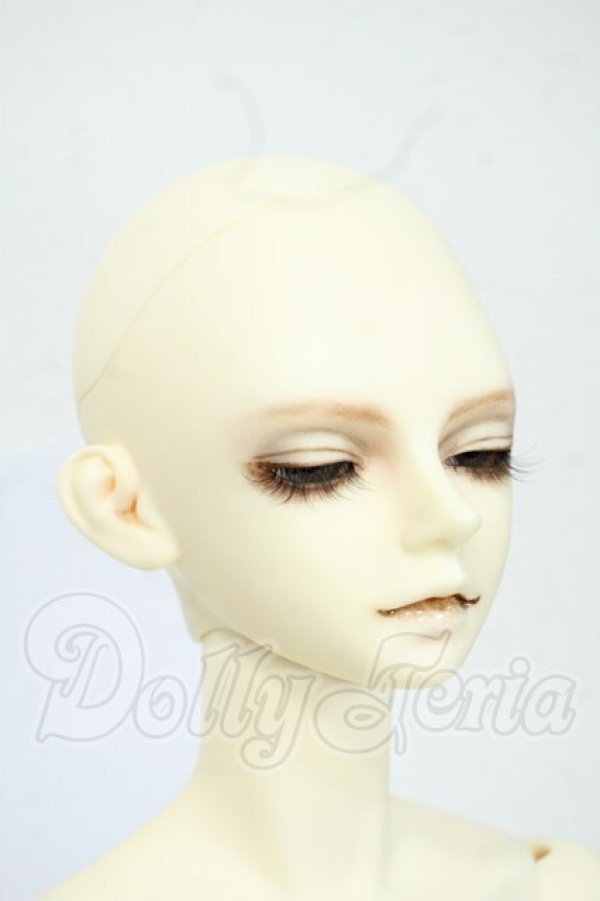 画像2: LUTS/Senior Delf TERRA DREAMING/海外製キャストドール Y-26-04-29-002-WT-ZY (2)