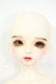 画像1: Myou Doll/Delia：文学少女 Literature Limited Y-26-04-29-003-WT-ZY (1)
