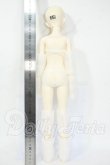 画像6: Myou Doll/Delia：文学少女 Literature Limited Y-26-04-29-003-WT-ZY (6)