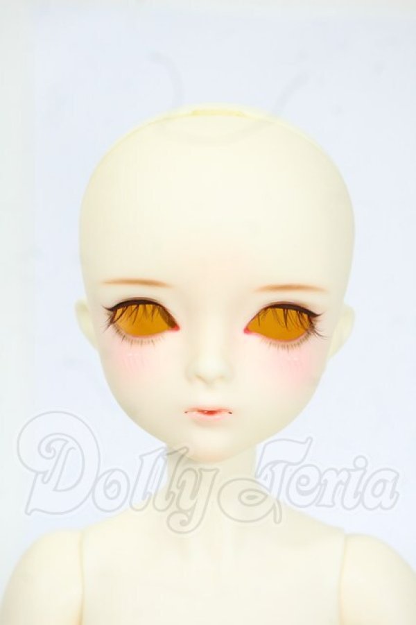 画像1: elfin store/1/4：ココア・ボン Y-26-04-29-005-WT-ZY (1)