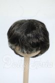 画像1: 6-7inch/ウィッグ Y-26-04-29-164-WT-ZY (1)