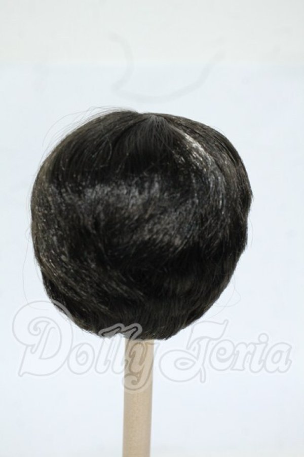 画像2: 6-7inch/ウィッグ Y-26-04-29-164-WT-ZY (2)