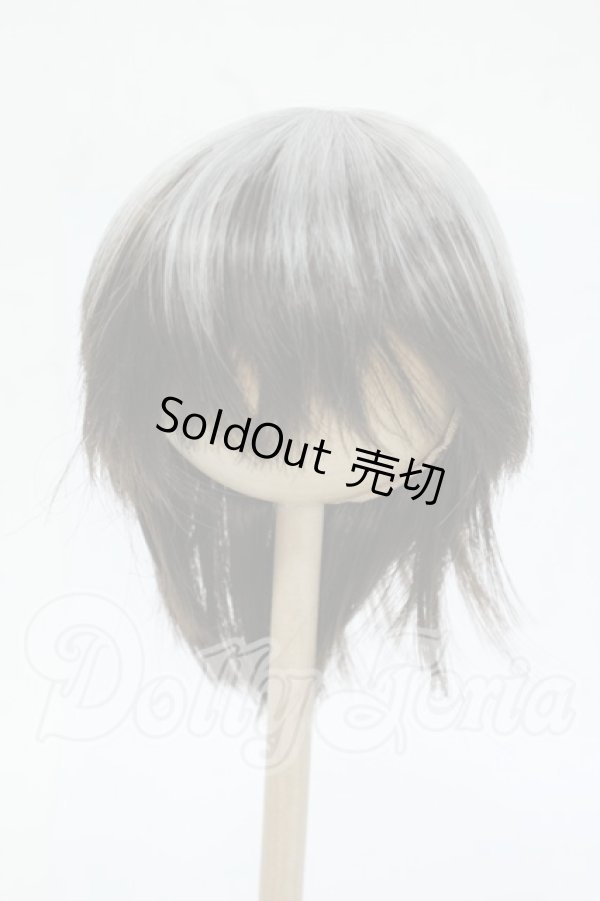 画像1: 9-10inch/ウィッグ Y-26-04-29-088-WT-ZY (1)