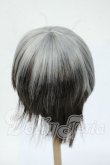 画像2: 9-10inch/ウィッグ Y-26-04-29-088-WT-ZY (2)