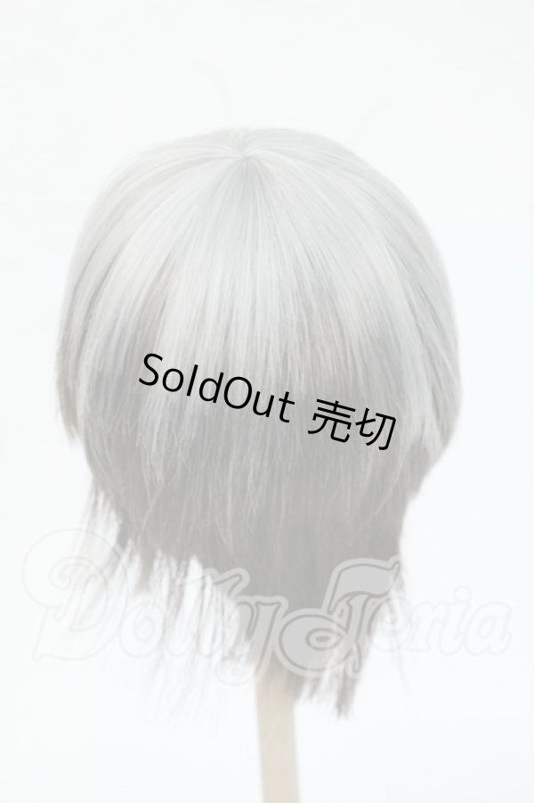 画像2: 9-10inch/ウィッグ Y-26-04-29-088-WT-ZY (2)