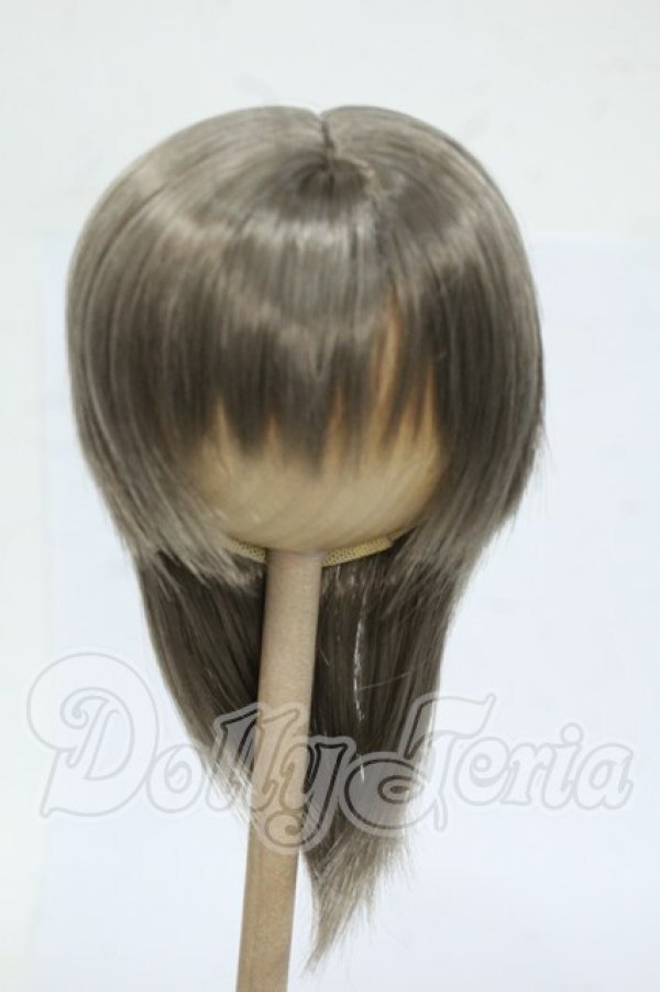 画像1: 8-9inch/ウィッグ Y-26-04-29-089-WT-ZY (1)