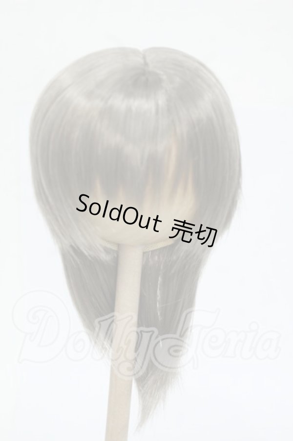 画像1: 8-9inch/ウィッグ Y-26-04-29-089-WT-ZY (1)