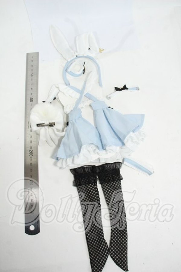 画像2: MDD/OF:M+V Studio様製 ユグンミウサギ Y-26-04-29-257-WT-ZY (2)