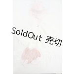 画像: SDM＆MSD/OF:衣装セット Y-26-05-01-097-WT-ZY