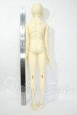 画像6: LUTS/Senior Delf 65:Avalance Y-26-05-08-005-WT-ZY (6)