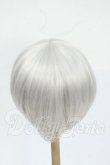 画像2: 8-9inch/ウィッグ Y-26-05-08-064-WT-ZY (2)