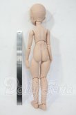 画像5: MDD/ドリームチョイス:DC-H-21ヘッド Y-26-05-08-032-WT-ZY (5)
