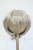 画像1: 8-9inch/ウィッグ Y-26-05-08-020-WT-ZY (1)