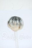 画像1: 4inch/ウィッグ Y-26-05-08-028-WT-ZY (1)