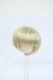 画像1: 4inch/ウィッグ Y-26-05-08-027-WT-ZY (1)