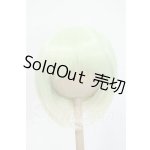 画像: 8-9inch/インソムニア様製 ウィッグ Y-26-05-08-255-WT-ZY