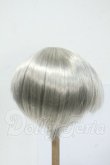画像2: 8-9inch/ウィッグ Y-26-05-08-258-WT-ZY (2)