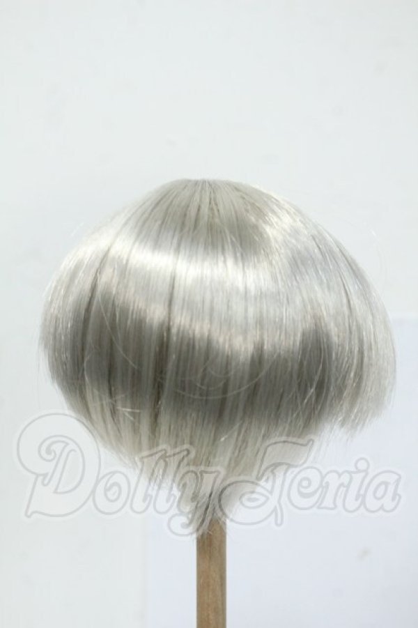 画像2: 8-9inch/ウィッグ Y-26-05-08-258-WT-ZY (2)