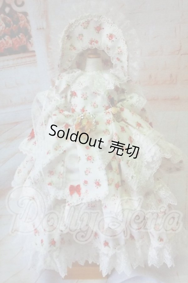 画像1: SD/OF:Princess・Rose様製 ドレスセット Y-26-05-15-106-WT-ZY (1)
