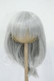 画像1: 8-9inch/ウィッグ Y-26-05-15-031-WT-ZY (1)
