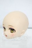 画像3: DD/DDH-01:カスタムヘッド Y-26-05-22-012-WT-ZY (3)