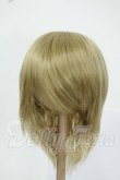 画像1: 8-9inch/ウィッグ Y-26-05-22-158-WT-ZY (1)